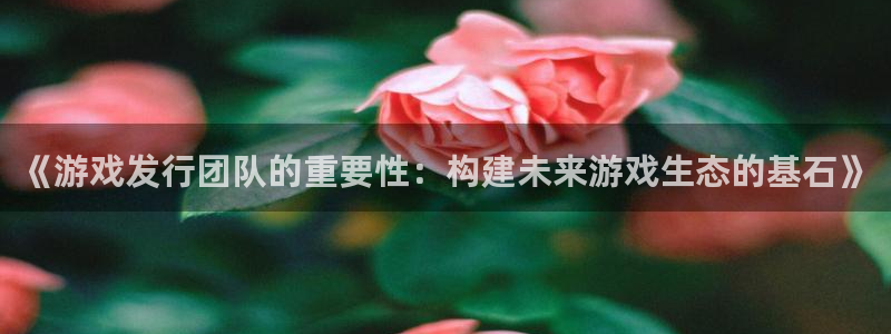 bbin视讯子教育科技(江门)有限公司：《游戏发行团队的重要性：构建未来游戏生态的基石》