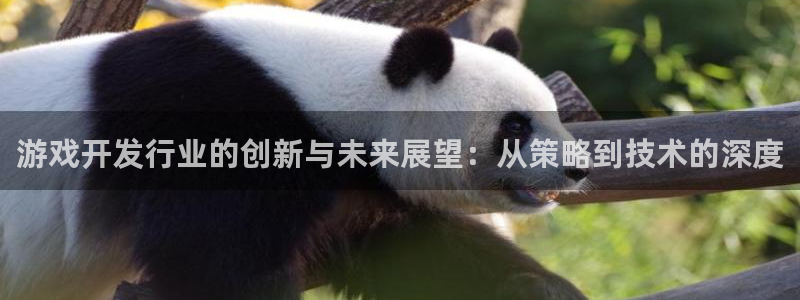 bbin视讯官网平台会黑款吗：游戏开发行业的创新与未来展望：从策略到技术的深度