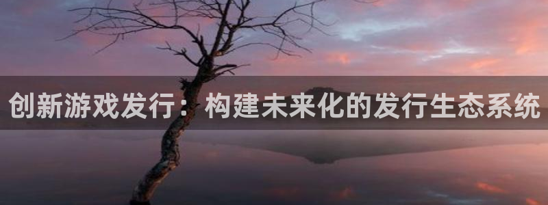 bbin视讯校服：创新游戏发行：构建未来化的发行生态系统