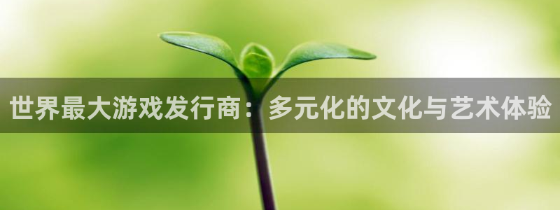 江苏bbin视讯人力资源有限公司怎么样：世界最大游戏发行商：多元化的文化与艺术体验
