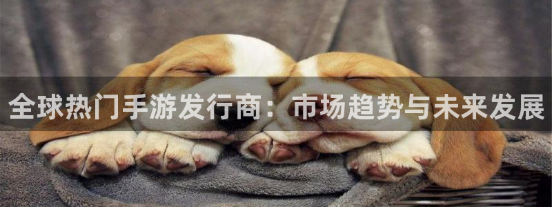 陕西bbin视讯子文化创意是什么：全球热门手游发行商：市场趋势与未来发展