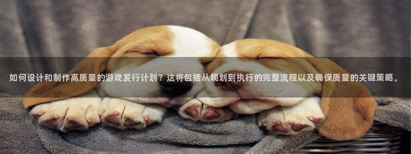 bbin视讯科技股票：如何设计和制作高质量的游戏发行计划？这将包括从规划到执行的完整流程以及确保质量的关键策略。