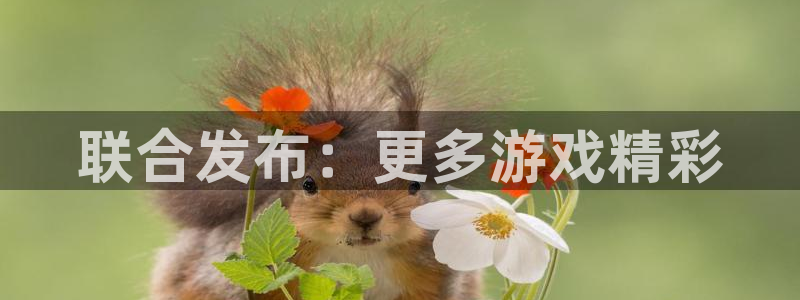 bbin视讯子教育科技(江门)有限公司：联合发布：更多游戏精彩
