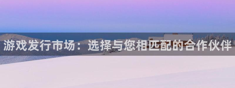 bbin视讯子书单：游戏发行市场：选择与您相匹配的合作伙伴
