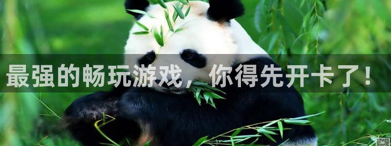 bbin视讯子怎么来的