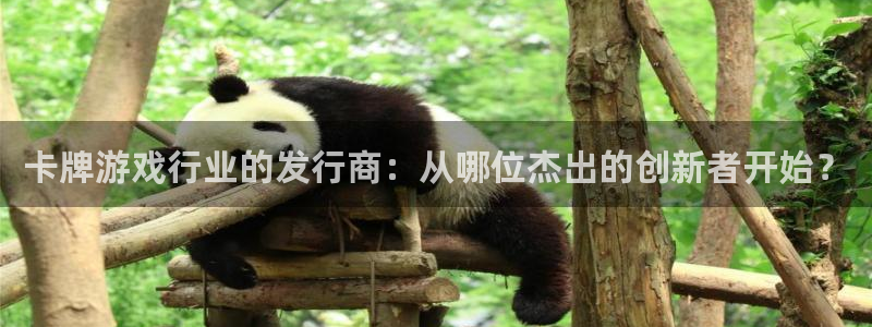 深圳bbin视讯电商：卡牌游戏行业的发行商：从哪位杰出的创新者开始？