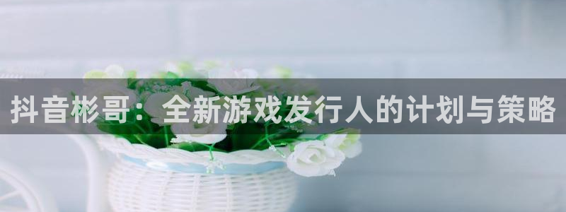 bbin视讯官网注册平台是什么：抖音彬哥：全新游戏发行人的计划与策略
