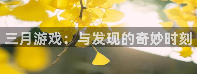 法国bbin视讯lvnces是奢侈品吗