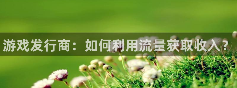 bbin视讯官网跑路了吗：游戏发行商：如何利用流量获取收入？