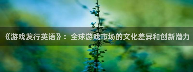 bbin视讯子市值：《游戏发行英语》：全球游戏市场的文化差异和创新潜力