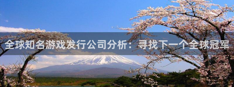 bbin视讯电商怎么样知乎：全球知名游戏发行公司分析：寻找下一个全球冠军