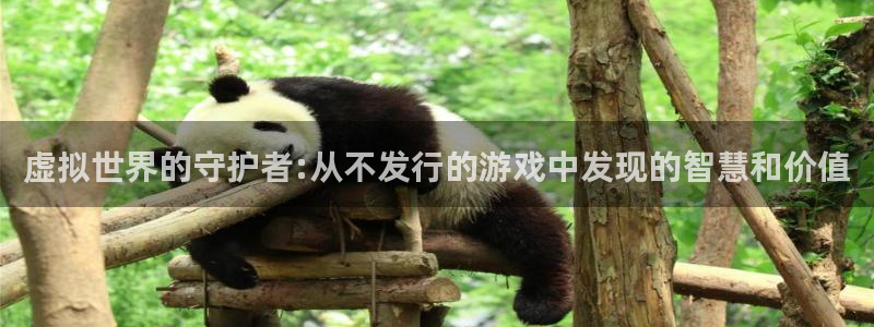 bbin视讯子经理人